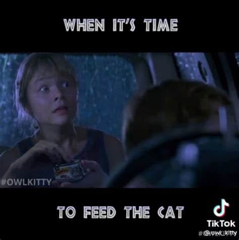 Untitled Fuck Tiktok And All That But This Is Amazing