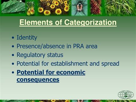 Ppt Pest Risk Analysis Pra Stage 2 Pest Risk Assessment Powerpoint Presentation Id 9249596