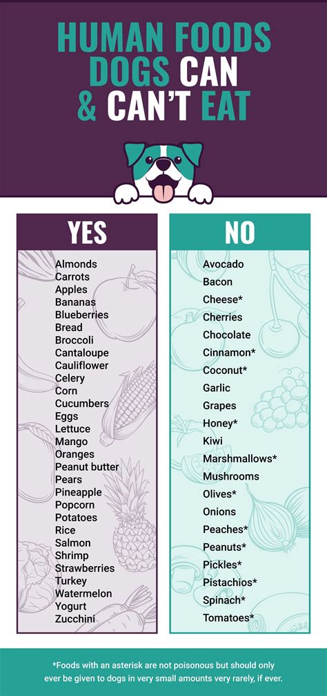 Can Dogs Eat Human Food? 50 Foods Dogs Can & Can’t Eat | Dog food