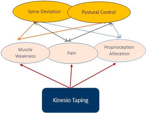 Jfmk Free Full Text A Short Overview Of The Effects Of Kinesio