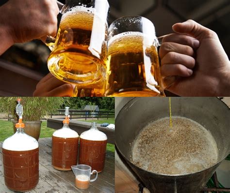 Cómo Hacer Cerveza Artesanal En Casa Guía Para Principiantes Tips