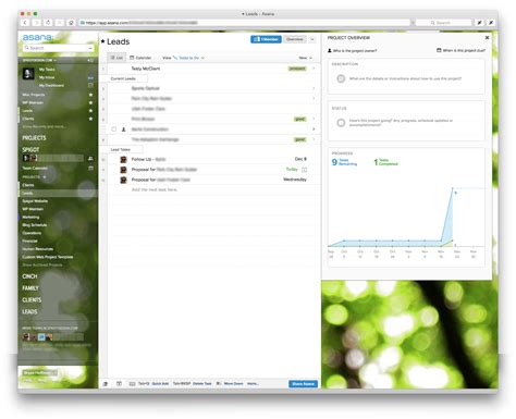 Asana: Our Project Management System & CRM - Spigot