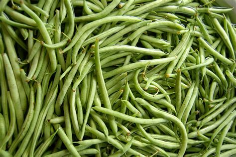 The Bingham Bunch: Beautiful Beans 