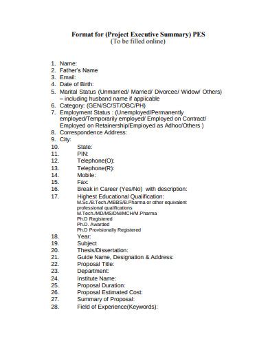 Project Executive Summary Examples Format Pdf