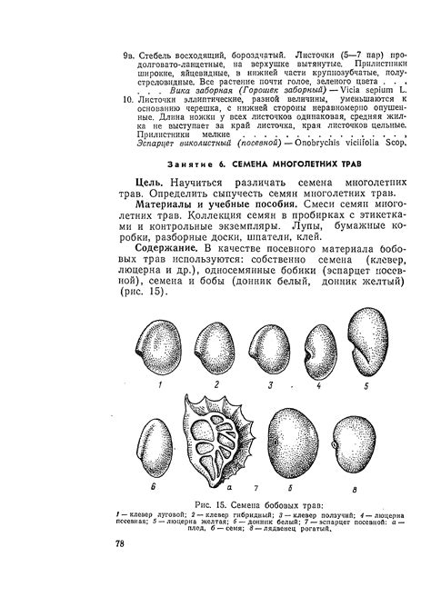Семена бобовых трав