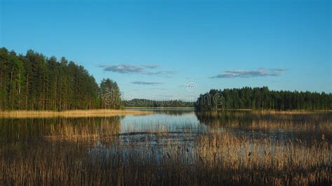 Sunset At Saimaa Lake In Finland Stock Photo Image Of Sunny Clouds