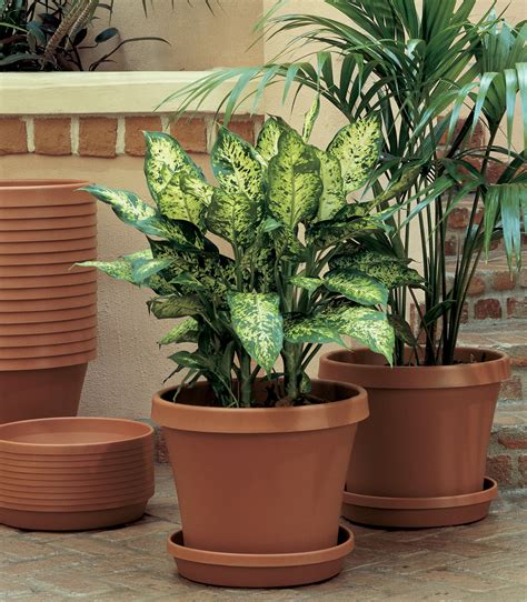 Bloem Terra Planter X Plastic Round Terracotta Walmart