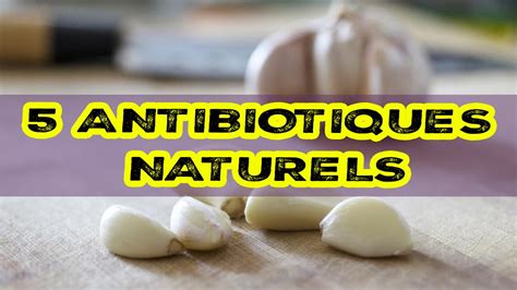 5 Antibiotiques Naturels Et Efficaces Bmoove