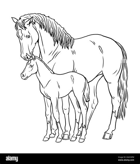 Printable Foal Coloring Pages