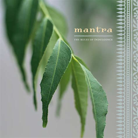 Mantra on Behance