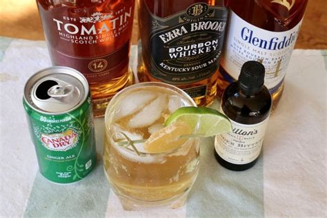 Easy Whiskey and Ginger Ale Cocktail Drink Recipe | dobbernationLOVES