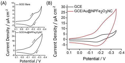 A CVs Obtained At An Unmodified GCE Top And Au NPFe2O3NC Modified