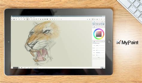 Best Drawing Software 2021 Porplug