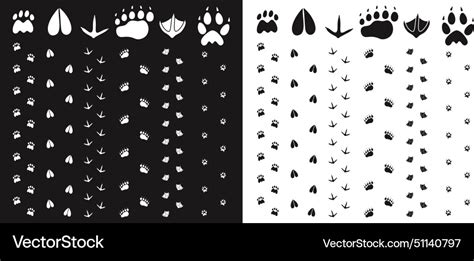 Paw print Royalty Free Vector Image - VectorStock