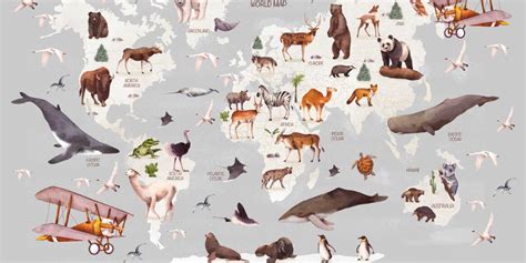 Тест-повторение World animals - Пройти онлайн тест | Online Test Pad