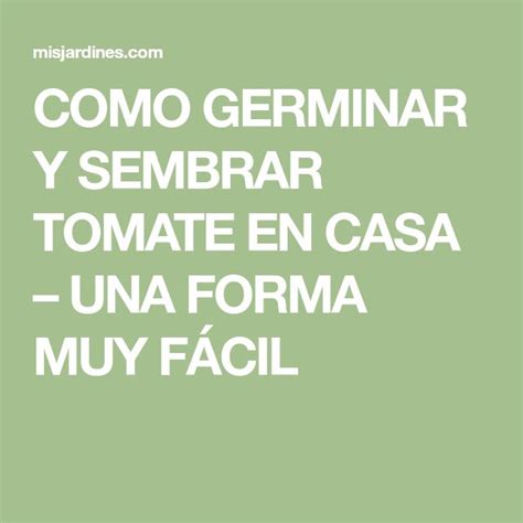 Como Germinar Y Sembrar Tomate En Casa Una Forma Muy F Cil Sembrar