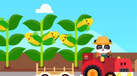 MARI KITA MEMANEN JAGUNG BERSAMA PANDA KIKI MENGGUNAKAN TRAKTOR GAME