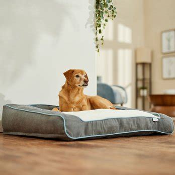 Best Dog Orthopedic Beds: Flat or Bolstered (Free Shipping) | Chewy