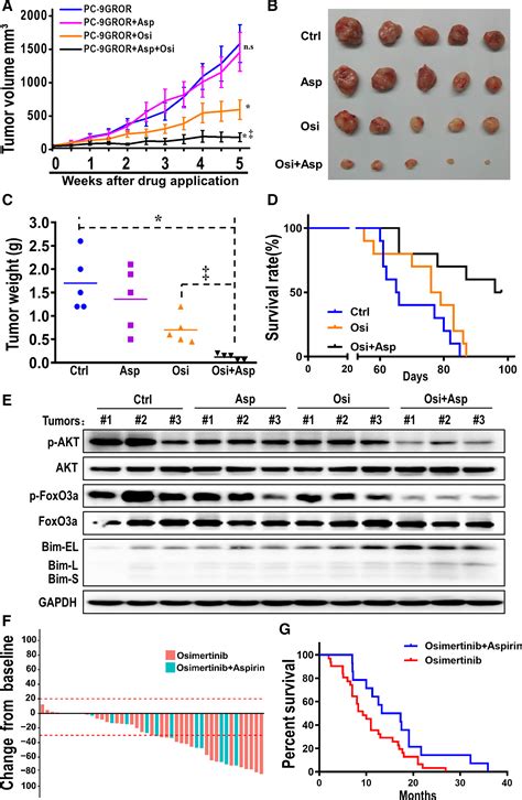 Aspirin Sensitizes Osimertinib‐resistant Nsclc Cells In Vitro And In