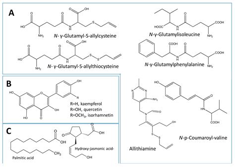 Molecules Free Full Text Phytochemical Profiles And Antimicrobial