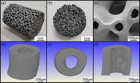 Structural characterization: (a) macro-morphology of the foam; (b)... | Download Scientific Diagram