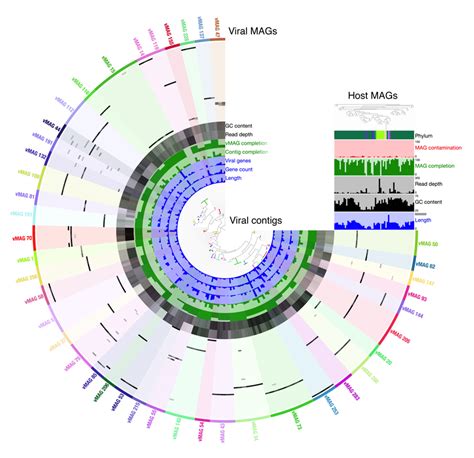 Viral MAGs And Their Hosts Viral Metagenome Assembled Genomes VMAGs