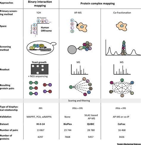 Proteome Scale Human Interactomics Trends In Biochemical Sciences