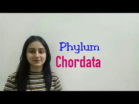 Phylum Chordata | Biological classification part -20 | Class XI-Lecture ...