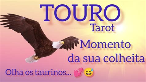 TOURO TAROT QUE MUDANÇA VAI SE CASAR TOURO MOMENTO DA SUA