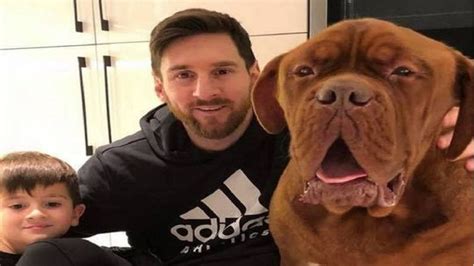 Alarma En La Selección Se Enfermó El Perro De Messi