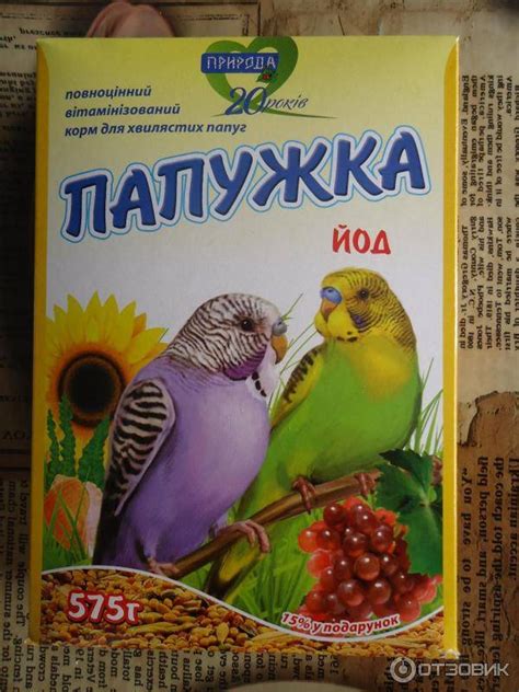 Корм для попугаев: чем и как правильно кормить, вкусняшки
