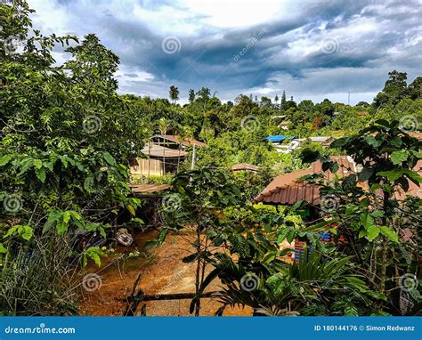 Way Path Roof Red Palm Tree Jungle Earth Mountain Tropical Small