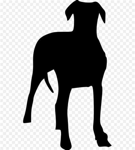 Labrador Retriever Silhouette Puppy Clip art - dogs png download - 1000 ...