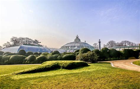 Pr Paratifs Aux Serres Royales De Laeken Noblesse Royaut S