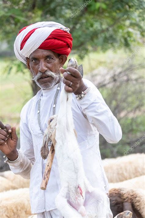 Jawai Rajast N India Septiembre De Retrato De Un Pastor