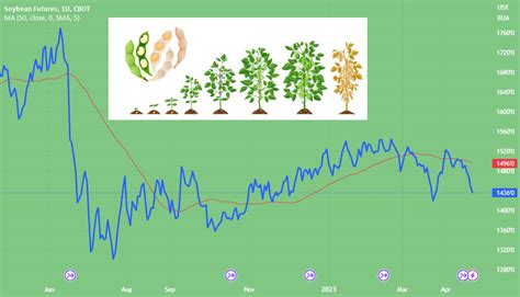 CBOT Soybean Complex: An Introduction for CBOT:ZS1! by JimHuangChicago — TradingView