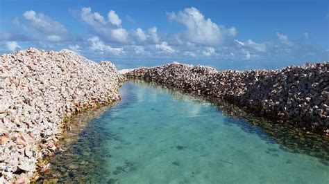 Horseshoe Reef Anegada All You Need To Know Before You Go Updated