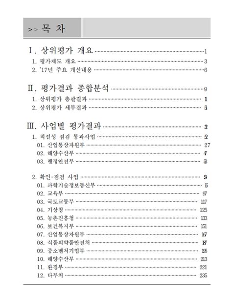 2017년도 국가연구개발사업 상위평가보고서중간평가