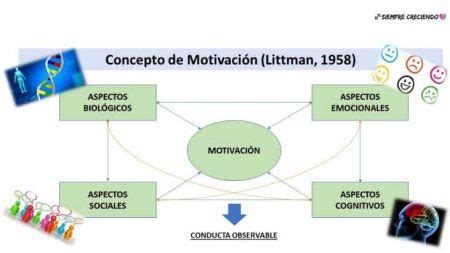 Los Factores Clave Que Influyen En La Motivaci N Md Pajedrez