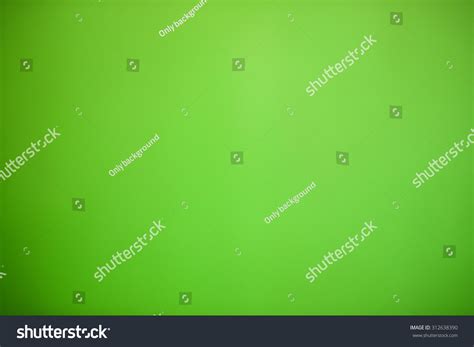 Lime Green Walls Blurred Background Stock Photo 312638390 Shutterstock