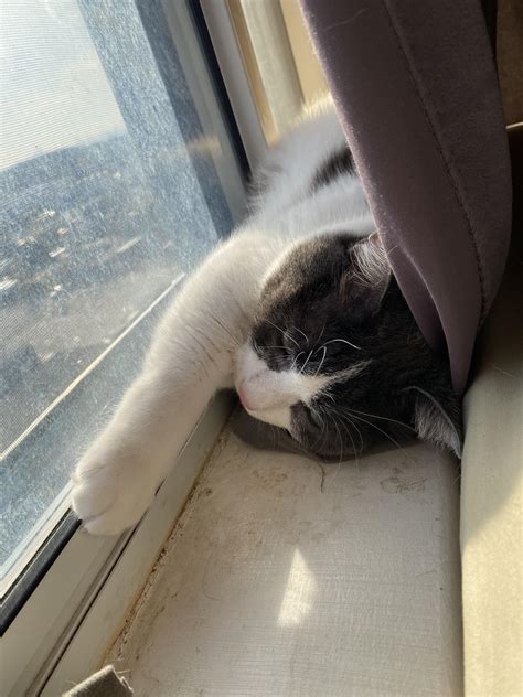 This Is My Harry Pussy XD R HairyPussy