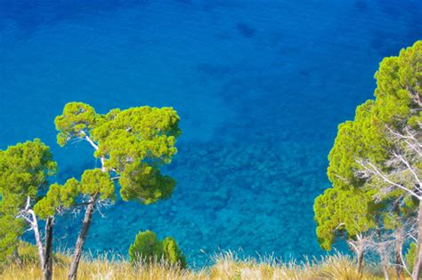 Vacanze Al Mare Nel Cilento Guida Alle Spiagge Per L Estate Luoghi