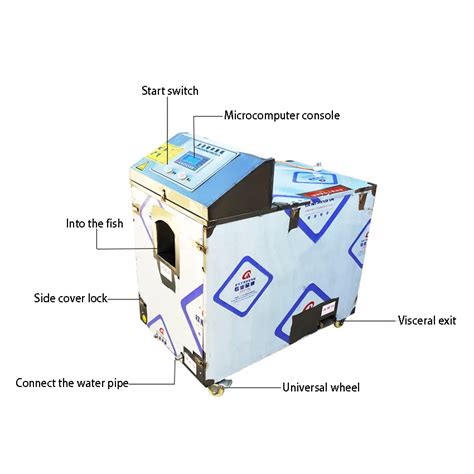 Fish Cleaning Machine Indian Rupi Fish-cleaning-machine Small Fish ...