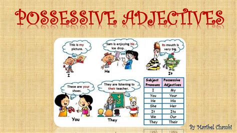 Solution Possessive Adjectives Studypool