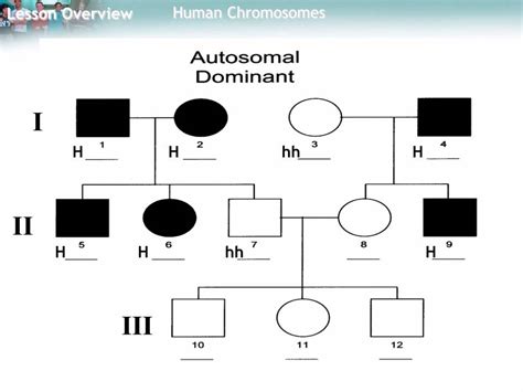 Autosomal Pedigree Chart