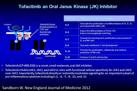 Positioning Our Recent And Future Advances In Therapies For Crohns