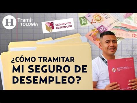 Todo Sobre El Seguro De Desempleo En La Ciudad De M Xico Gu A Completa