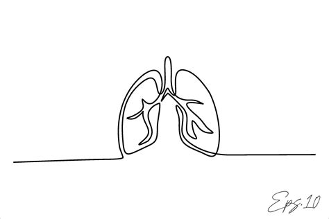 lungs continuous line vector illustration 30331736 Vector Art at Vecteezy