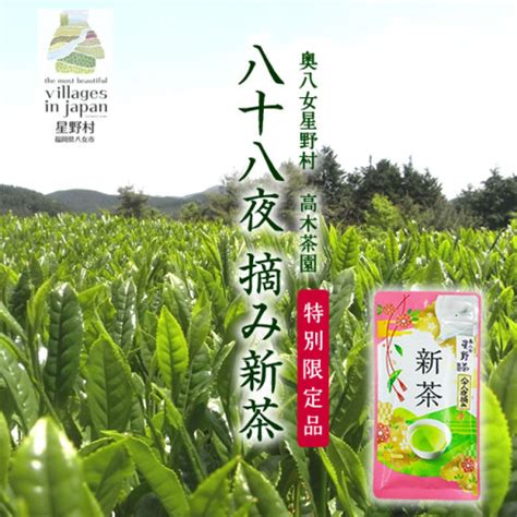 2024年産 奥八女星野茶 高木茶園の深蒸し高級煎茶 九州のお茶 のお取り寄せ・通販 お米・牛タン・もつ鍋の通販 おどろきっちん 【本店】