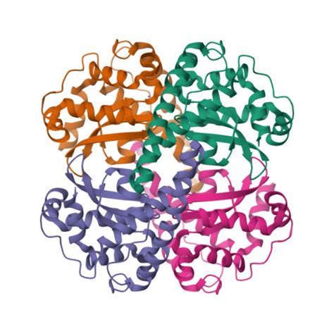 Rcsb Pdb Pm Crystal Structure Of Human Mnsod H N Y F Mutant